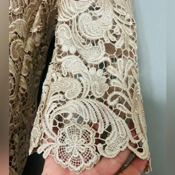 White House  & black Market brand Champagne Lace 3/4 Sleeve Mini Dress - Picture 5 of 10